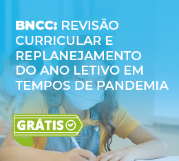 Imagem capa e-book BNCC revisão curricular